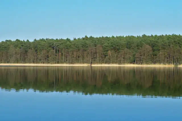 Jezioro Niepruszewskie: raj dla wędkarzy i miłośników przyrody