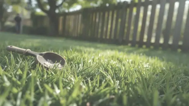 Polifoska w ogrodzie: Kiedy i ile? Sekret zdrowych roślin i plonów