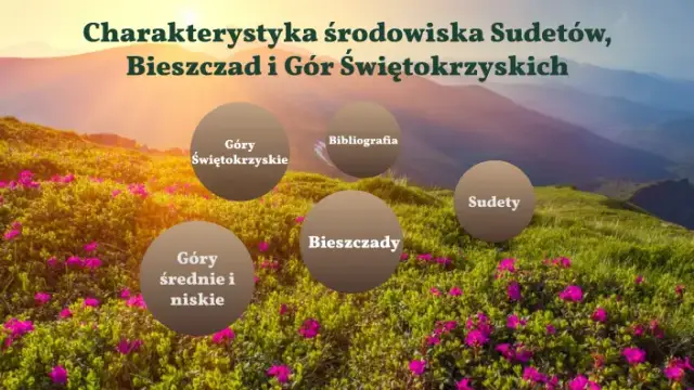 Charakterystyka środowiska polskich gór - porównanie Sudetów, Bieszczad i G. Św.