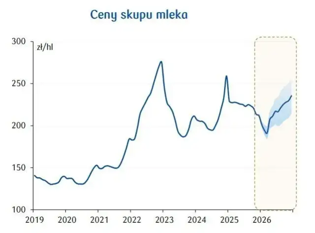 Cena skupu mleka 2026: Ile płacą mleczarnie? Prognozy