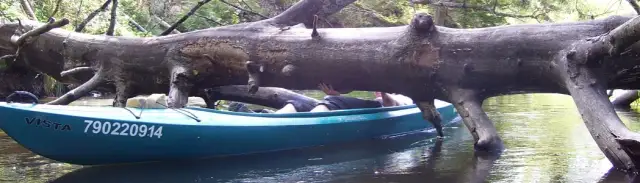 Spływy kajakowe Rurzyca - idealne trasy dla rodzin i początkujących