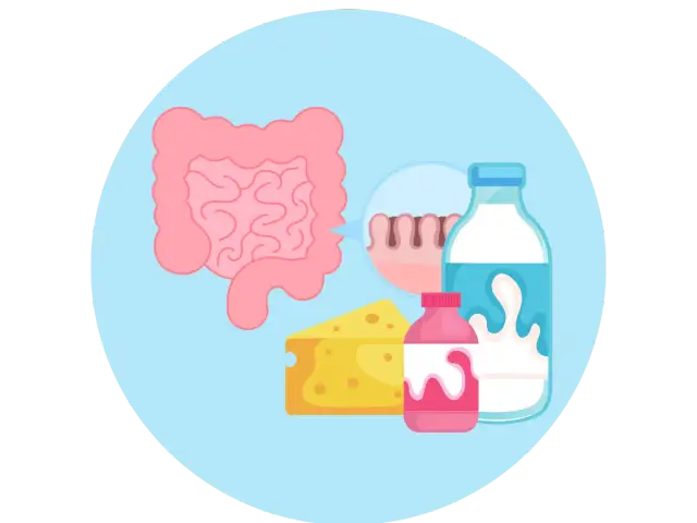 Ilustracja jelit, sera, butelki mleka i jogurtu.