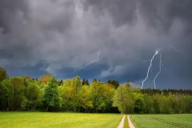 Burza w lesie: Jak przetrwać? Praktyczny poradnik przetrwania