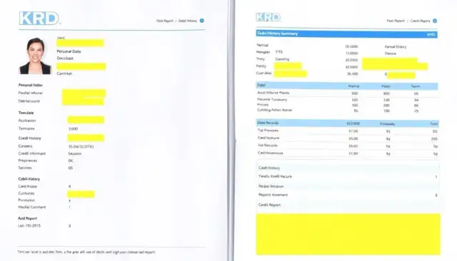 Jak sprawdzić siebie w KRD? Raport za darmo krok po kroku