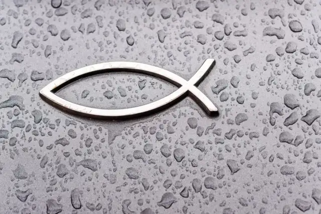 Co oznacza ryba na samochodzie? Zaskakujące znaczenie symbolu