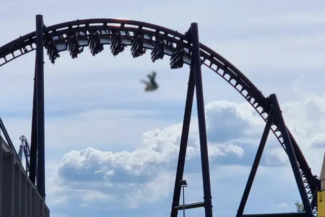 Energylandia - ile wypadków? Szokujące statystyki i incydenty