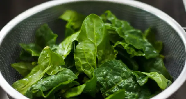 Czy pies może jeść szpinak? Bezpieczeństwo, korzyści i zagrożenia zdrowotne