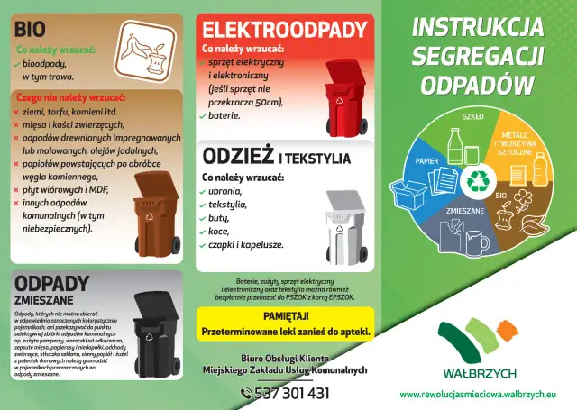 Segregacja śmieci: Koniec z dylematami! Pełny poradnik 2024