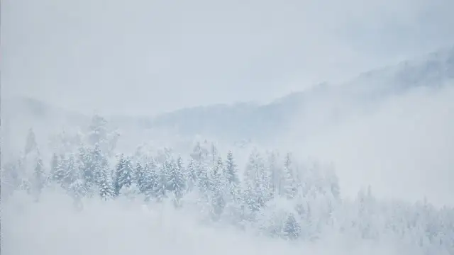 Szlaki w Bieszczadach zimą: Otwarte, ale czy jesteś gotowy?