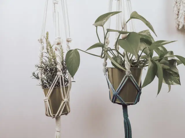 Dwa kwietniki makrama z zielonymi roślinami wiszące na jasnym tle.