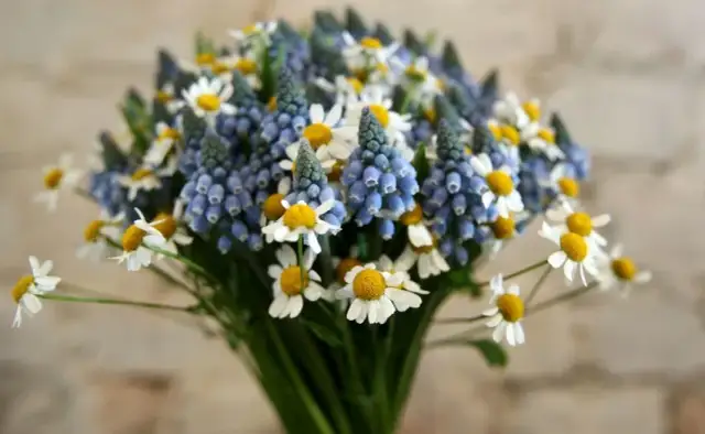 Na której randce kwiaty? Sprawdź, kiedy to najlepszy moment