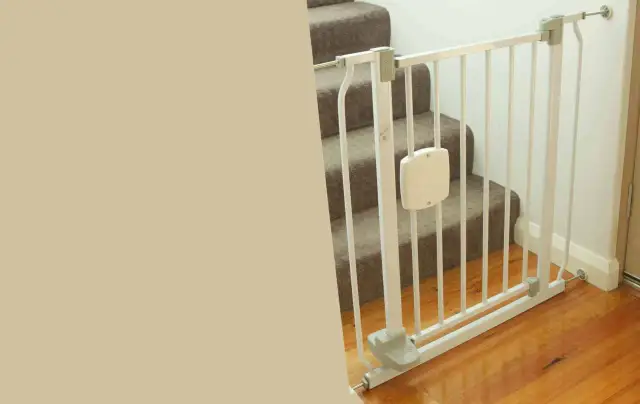 Jak zabezpieczyć schody przed kotem, aby uniknąć wypadków?