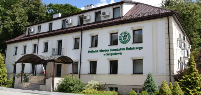 Peluszka ile siać na hektar – uniknij błędów w uprawie