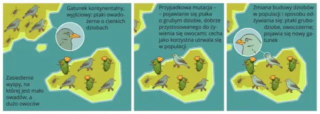 Izolacja geograficzna – jak wpływa na ewolucję i różnorodność gatunków