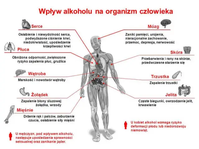 Alkohol po przeszczepie nerki: Czy to bezpieczne? Fakty medyczne