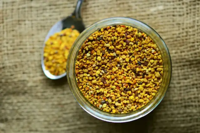 Jak zażywać pyłek pszczeli, by uniknąć błędów i cieszyć się zdrowiem