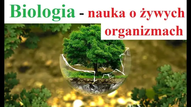 Czy biologia to nauka ścisła? Odkryj jej unikalną naturę i metody