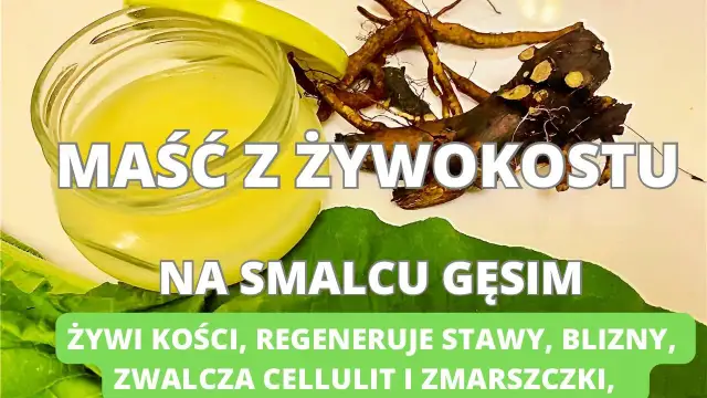 Jak zrobić maść z żywokostu na smalcu - łatwy przepis na zdrowie