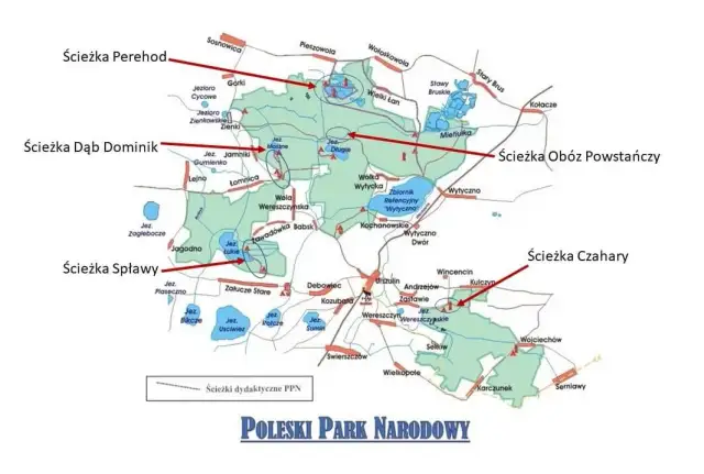 Najlepsze trasy rowerowe w Poleskim Parku Narodowym – uniknij rozczarowania