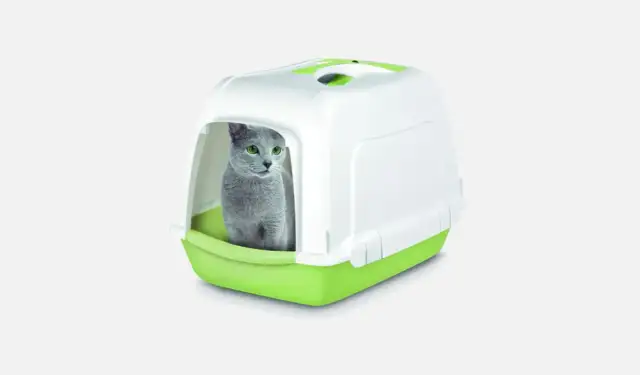 Najlepszy żwirek dla małego kotka: zapewnij mu komfort i bezpieczeństwo