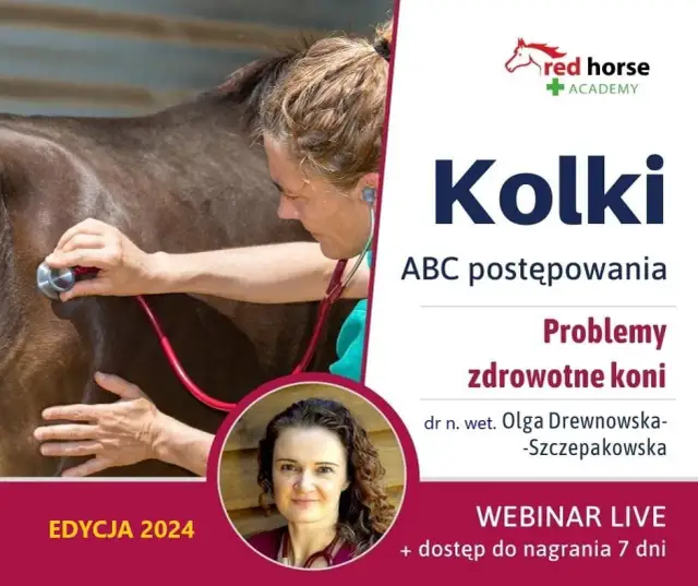 Objawy kolki u konia: jak je rozpoznać i uniknąć poważnych problemów