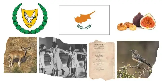 Jak wygląda flaga Cypru? Odkryj jej tajemnice i symbolikę