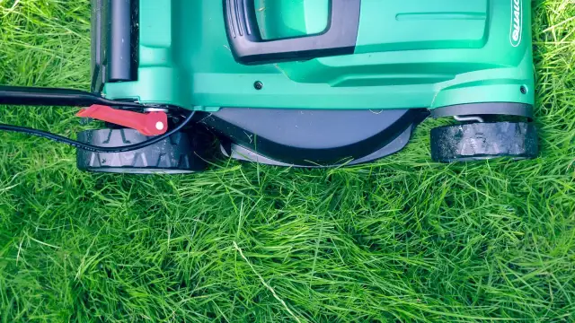 Czy 3 maja można pracować na działce? Sprawdź ważne przepisy i zasady