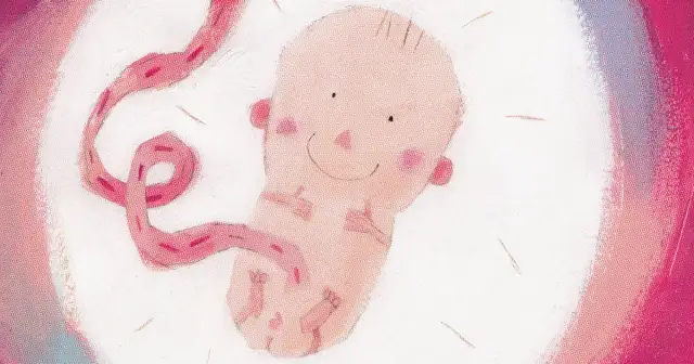 Mamo tato, skąd się wziąłem? Książka, która wyjaśnia dzieciom tajemnice życia