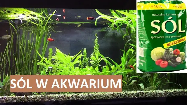 Ile soli do akwarium słodkowodnego? Kluczowe dawkowanie dla zdrowia ryb