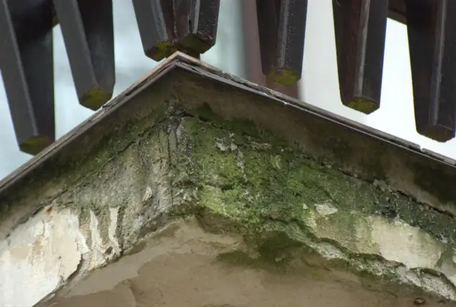 Zielony nalot na elewacji: Usuń go raz na zawsze! Poradnik eksperta