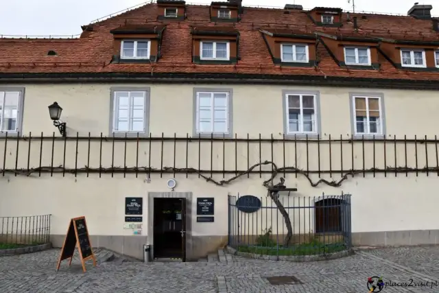 Maribor: Gdzie zjeść? Przewodnik po smakach Styrii i winie