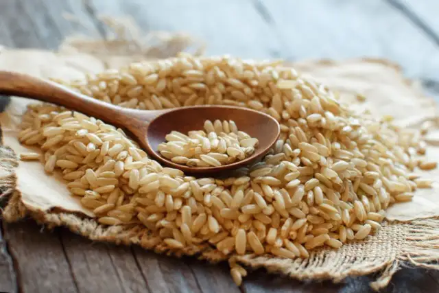 Ile kalorii ma ryż brązowy? Sprawdź, ile naprawdę dostarcza kcal