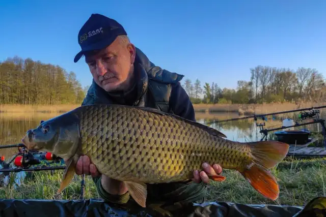 Do kiedy sezon na karpia? Sprawdź, aby nie przegapić ostatnich połowów