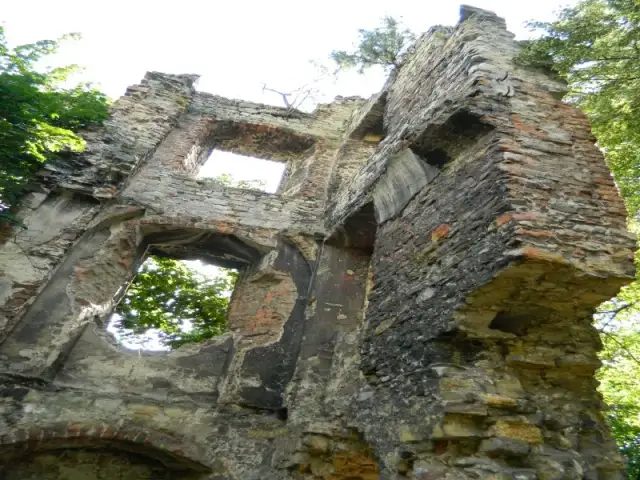 Najlepsze atrakcje w Krapkowicach, które musisz zobaczyć podczas wizyty