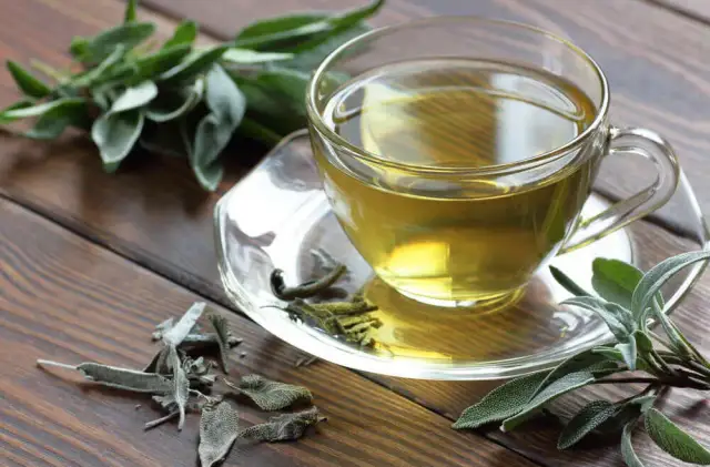 Szałwia czy rumianek na dziąsła: Które zioło skuteczniej łagodzi ból?