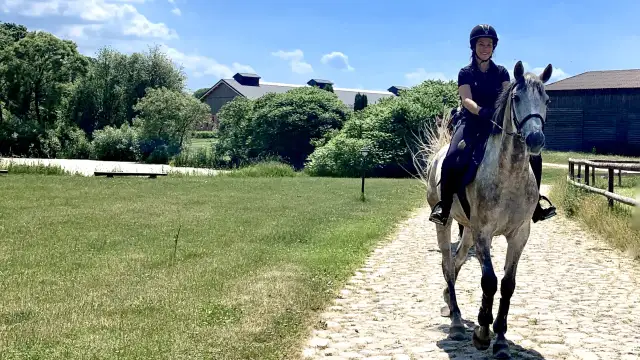 Stadnina koni Elbląg - najlepsze oferty jazdy konnej w regionie