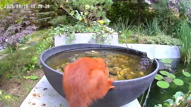 Kolory szlaków PTTK: obalamy mit trudności i uczymy czytać znaki