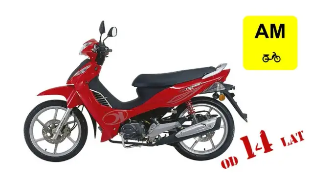 Ile kosztuje kurs prawa jazdy kat. AM: Przegląd ofert szkół jazdy