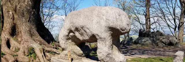 Rzeźba niedźwiedzia: Jak wybrać idealną sztukę dla siebie?