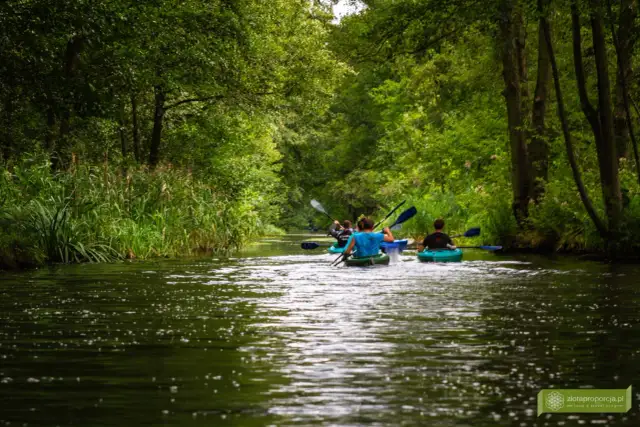 Berlin: Szprewa i Hawela. Wodne szlaki, które biją Wenecję?