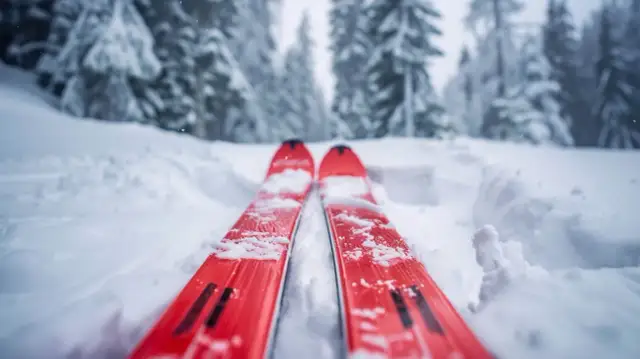 Rossignol Experience: Jakie są zalety tych nart Rossignol?