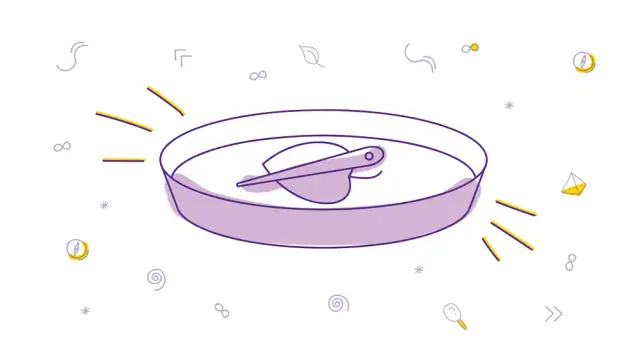 Jak zrobić kompas w prosty sposób - krok po kroku z materiałami