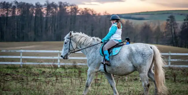 Najlepsze stadniny we Wrocławiu: Gdzie znaleźć idealne miejsce do jazdy konnej
