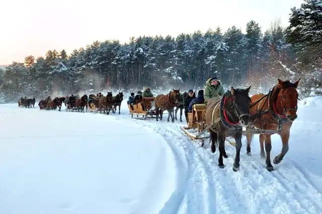 Stadnina koni huculskich w Regietowie - odkryj tajemnice największej hodowli