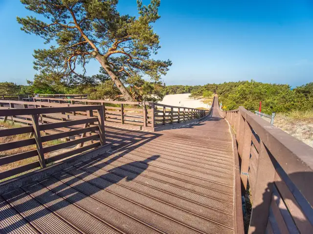 Najlepsza trasa rowerowa Kołobrzeg Grzybowo - piękne widoki i relaks