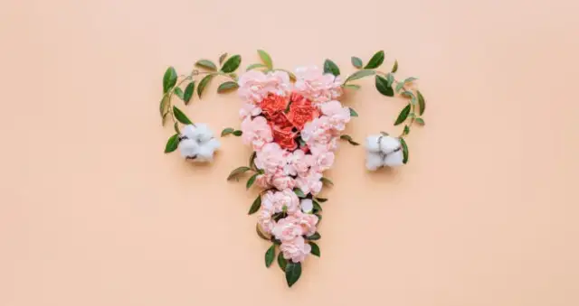 Andrzej Brenk ginekolog – gdzie przyjmuje i jak umówić wizytę szybko