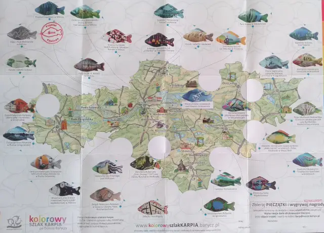 Dolina Baryczy: Gdzie zjeść karpia milickiego? Sprawdzone adresy.