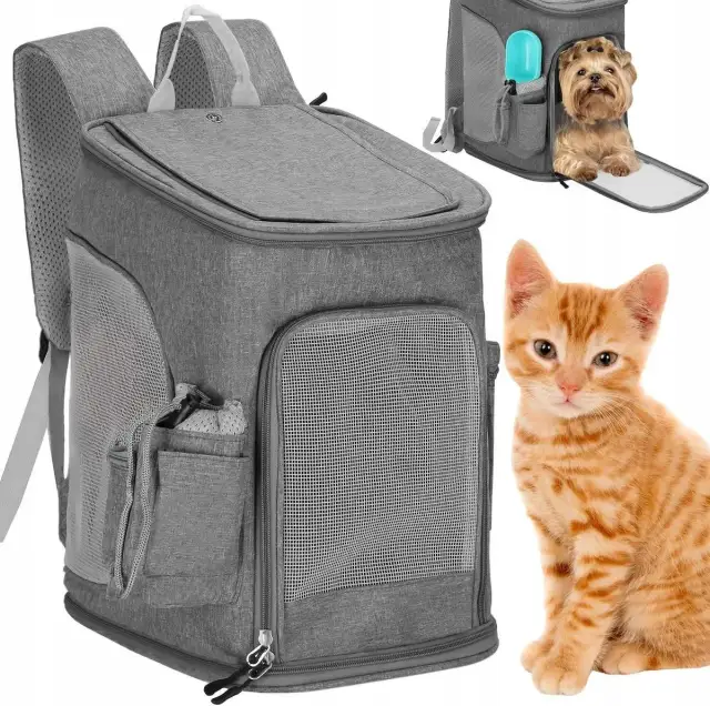 Najlepsze plastikowe transportery dla psa - wybierz bezpieczne rozwiązanie