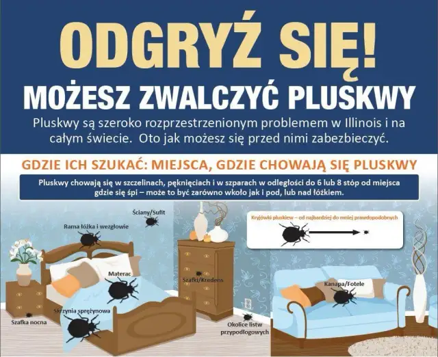 Czy pluskwy przechodzą z mieszkania do mieszkania? Sprawdź, jak się chronić