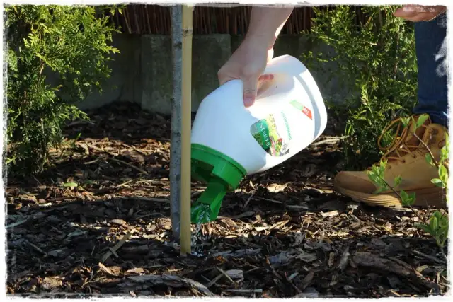 Jaki nawóz do ogródka na jesień, aby uniknąć błędów w pielęgnacji?